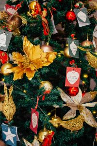 Natal Solidário ESAF: quando a solidariedade transforma histórias e aproxima pessoas 4 MG 3237 Edit